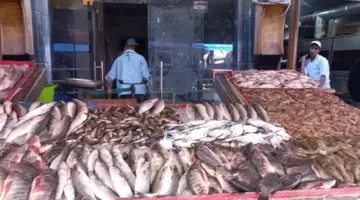 أسعار الأسماك عند ختام تعاملات الثلاثاء 31 مارس 2026